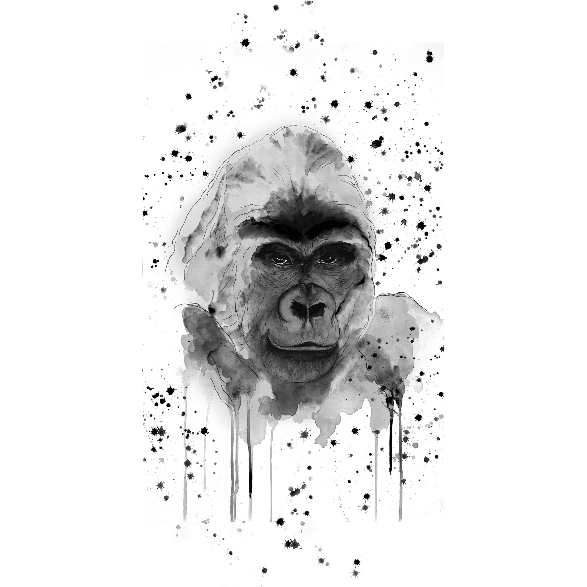 Gorilla