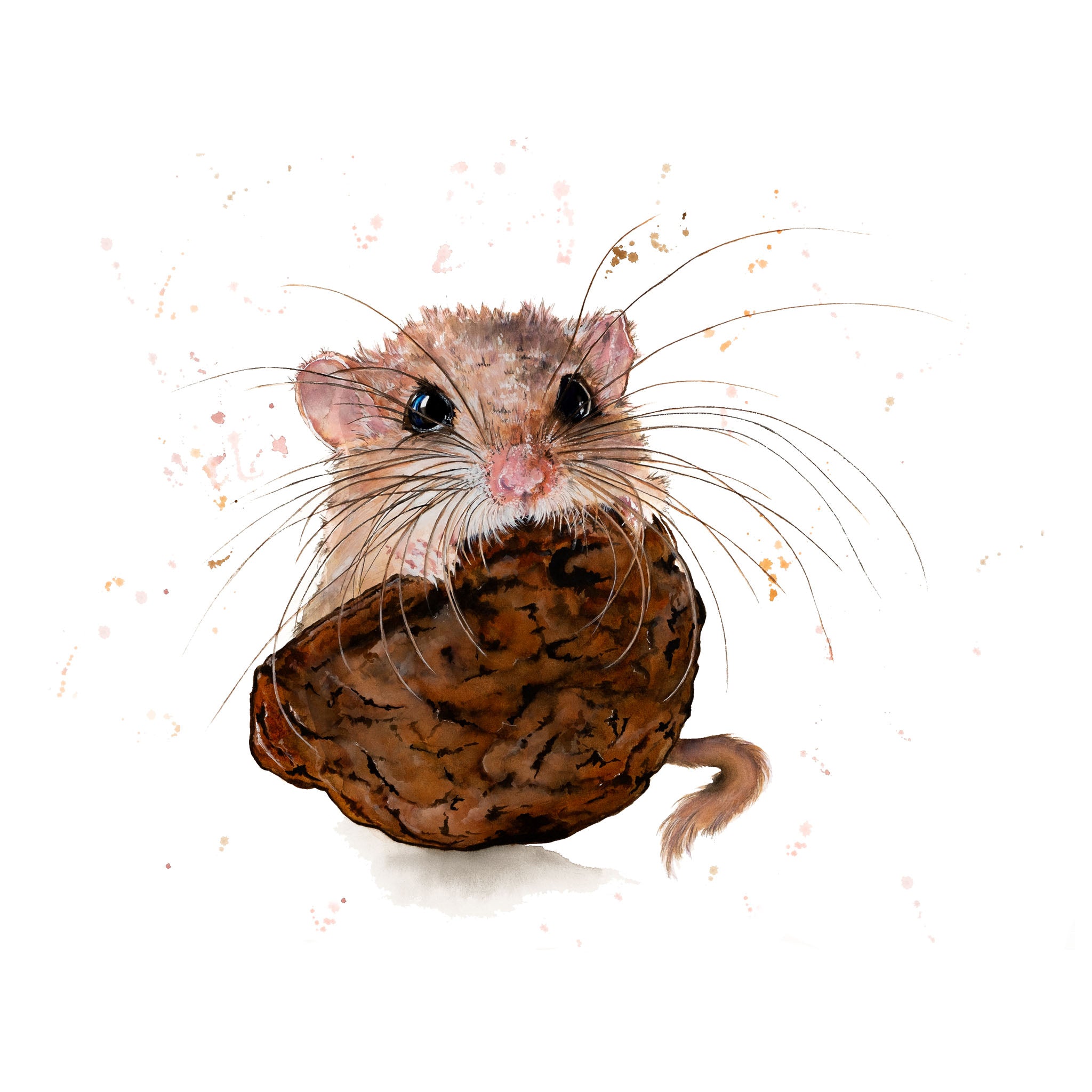 WWF Dormouse - PURE Tumbler