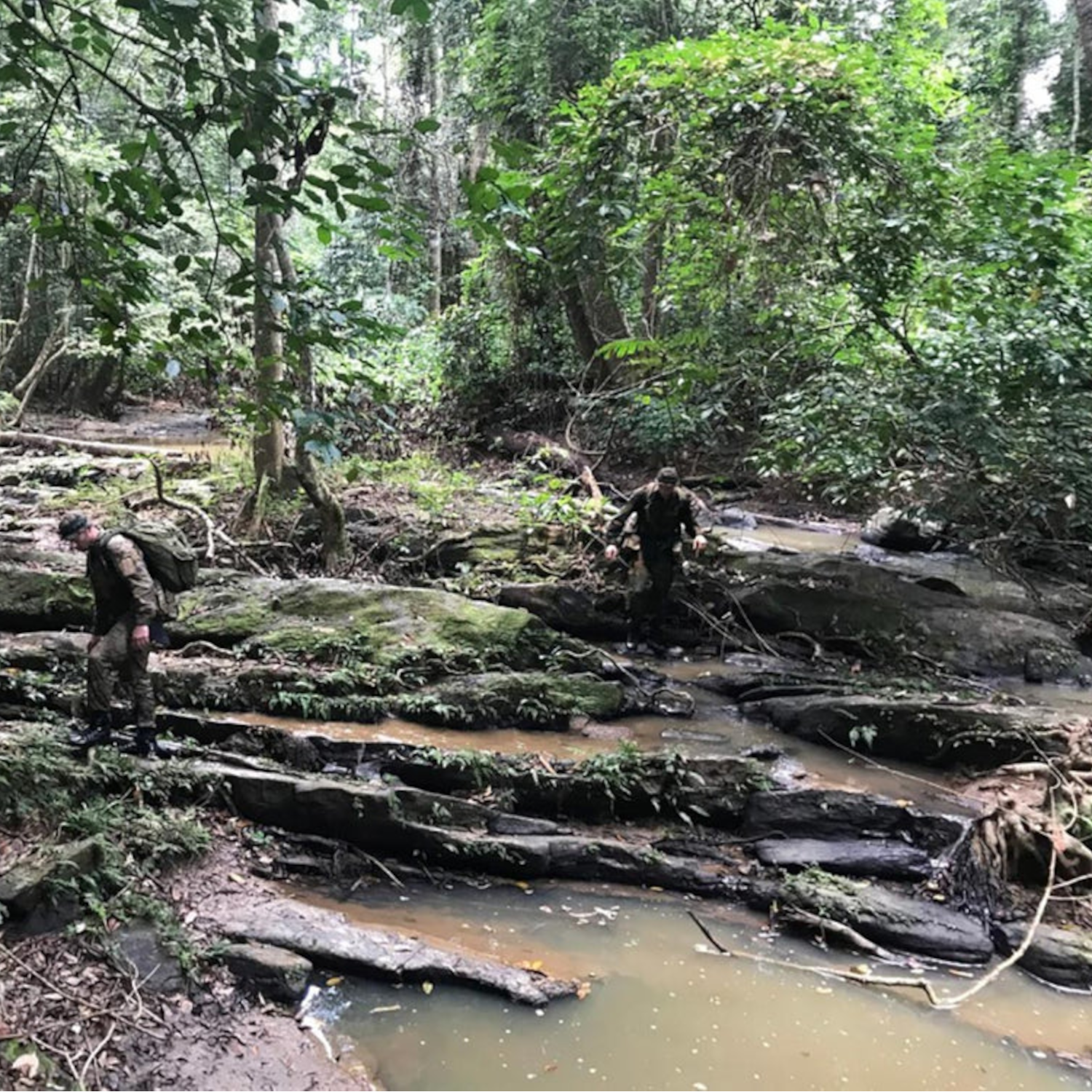Water purification for jungle operations