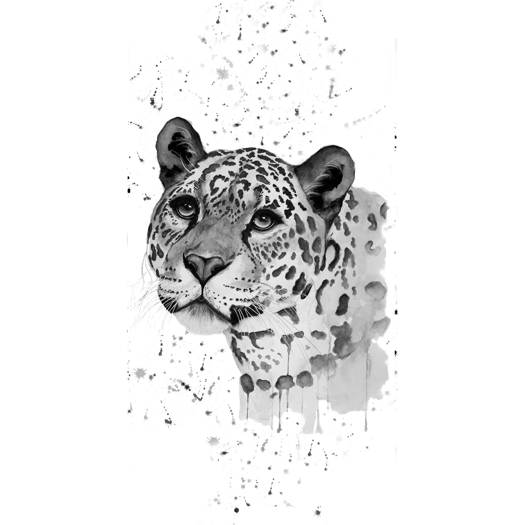 WWF Jaguar
