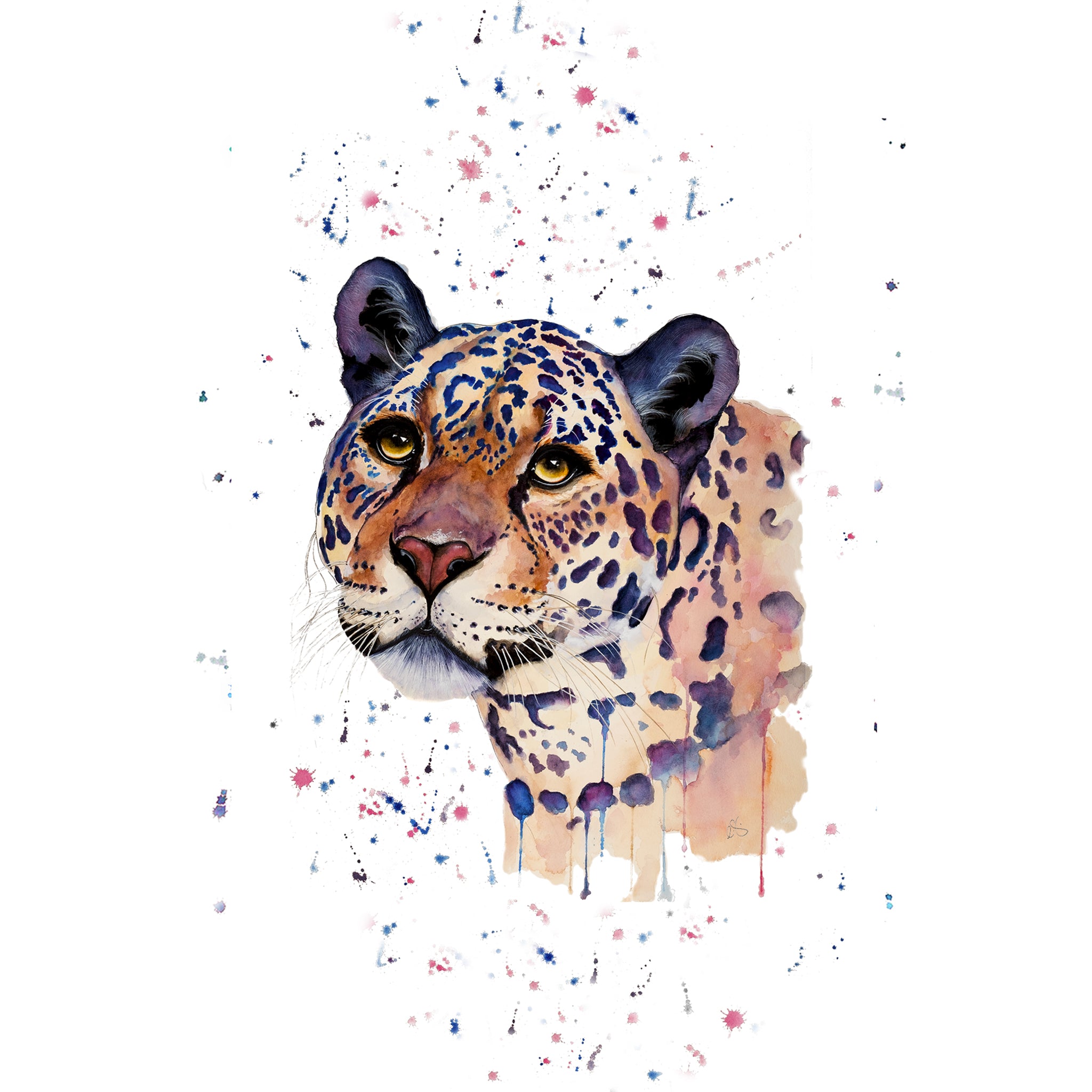 WWF Jaguar