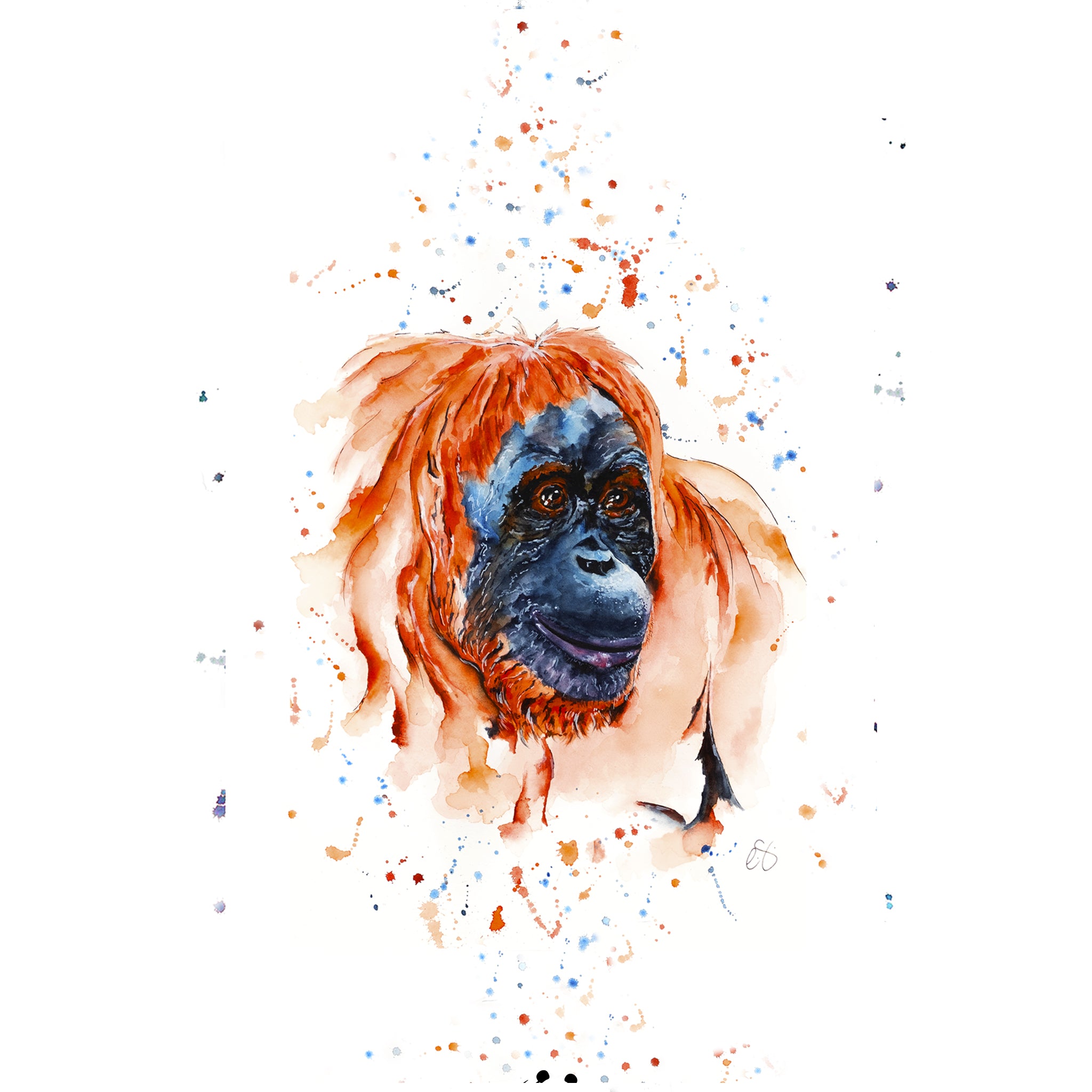 WWF Orangutan